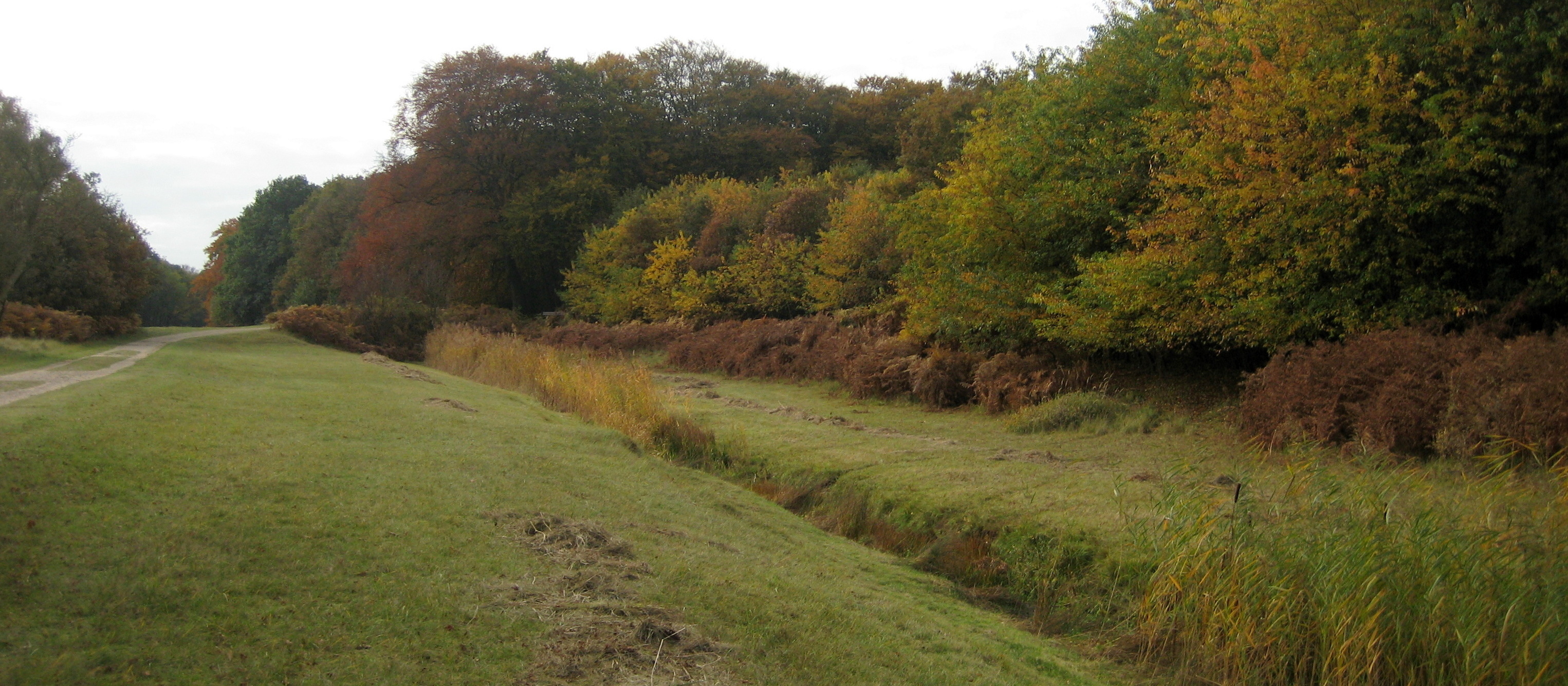 Amsterdamse Waterleidingduinen